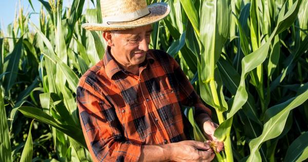 Храната е най мощното лекарство за ума и тялото и ние