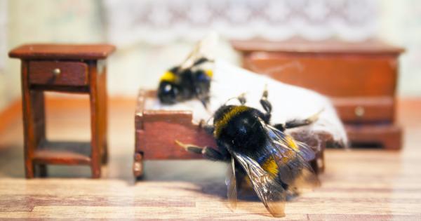 Спят ли буболечките Това е от онези въпроси върху които