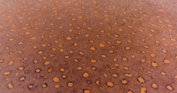 През 1952 ра Алън Тюринг е бил на път да промени