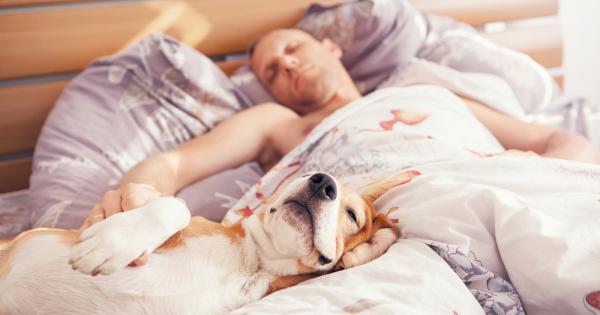 Признайте с ръка на сърцето Позволявате ли на вашата котка