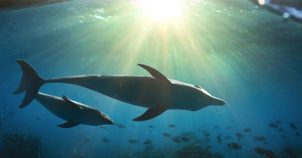 Човек веднага може да разбере когато някой говори на бебе