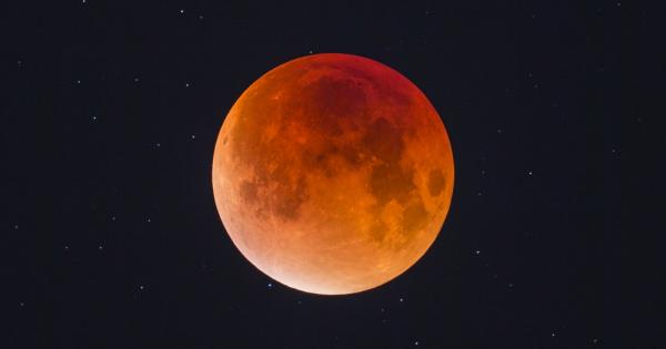 В тези смутни времена всички се нуждаем от нещо което