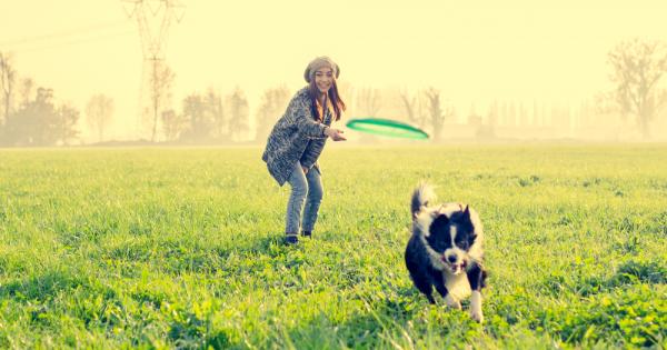 Игрите са много важни за физическото и интелектуално развитие на