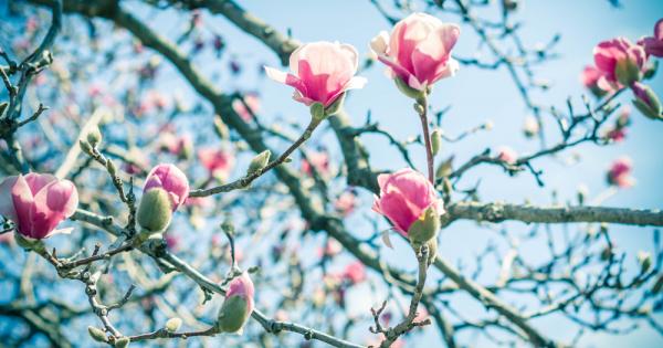 Април 2023 г е четвъртият най топъл месец април в света