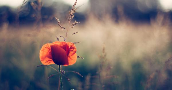 Когато дошъл сетният час на един мъдър Учител учениците се