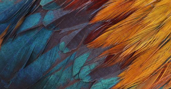 Биолози успяха да хванат в горите на Пенсилвания една изключително