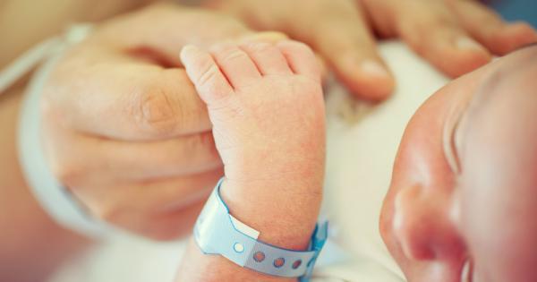 Даниша Хейнс Ариел Уилямс и Ашли Хейнс три сестри от