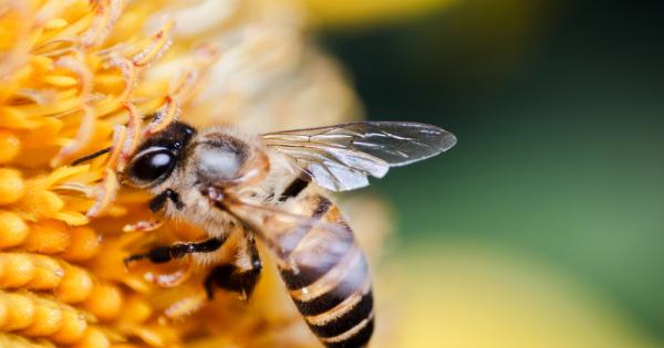В настоящият момент много учени алармират че измененията и колебанията