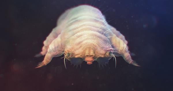 Тялото на един здрав човек е пълно с микроскопичен живот