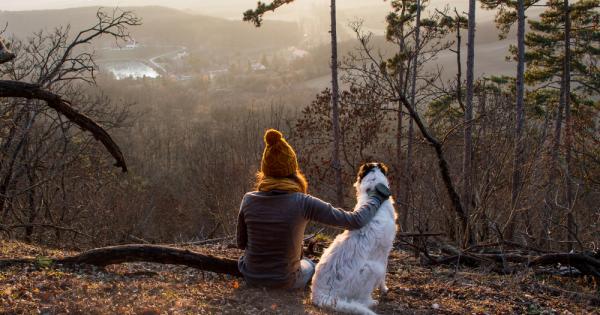 По света съществуват близо 900 милиона кучета 900 милиона пухкави