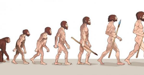 Генетична мутация е помогнала на Homo sapiens да се адаптира