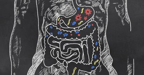 Бактериите в червата ни разграждат храната която тялото не може