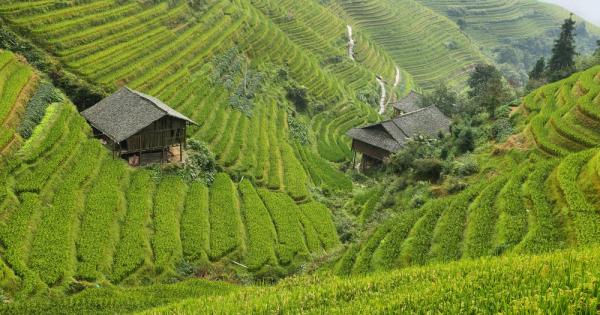 Живял някога един китаец В детството един пророк му предсказал