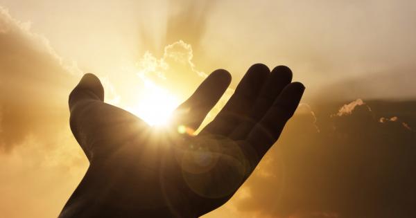 Всеки от нас се е сблъсквал с грубостта и злобата но