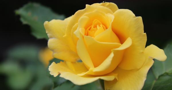 Много хора си мислят че никога няма да сбъркат ако