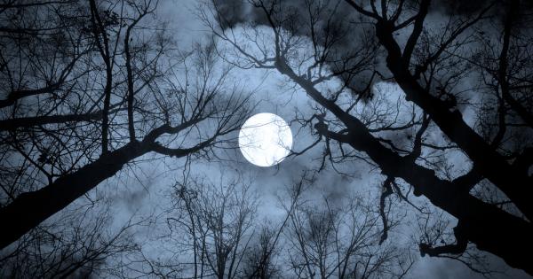 Днес предстои т.нар. Вълча луна.
В древността индианците кръщават януарското пълнолуние