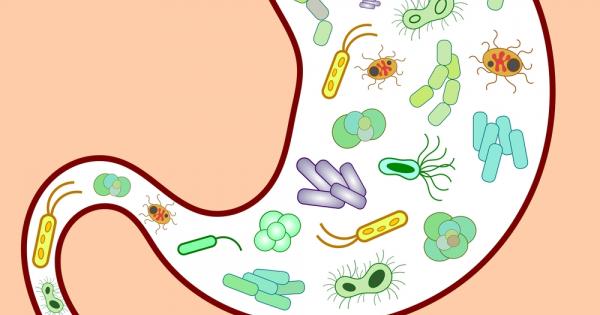 Човешкият стомашно чревен тракт е наистина невероятно място изпълнено с всевъзможни микроби Тези миниатюрни форми на