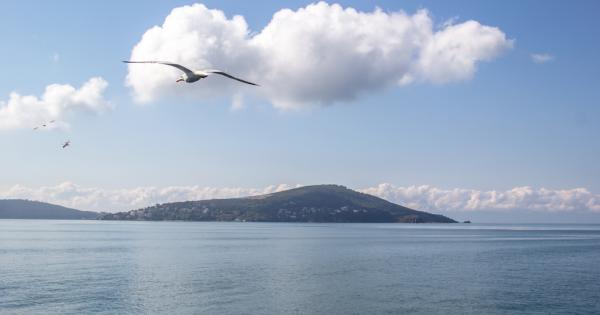 Турция ще вкарва кислород в Мраморно море като част от