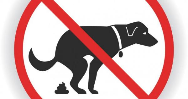 Бай Гошо разхождаше кучето си по улиците То се спря