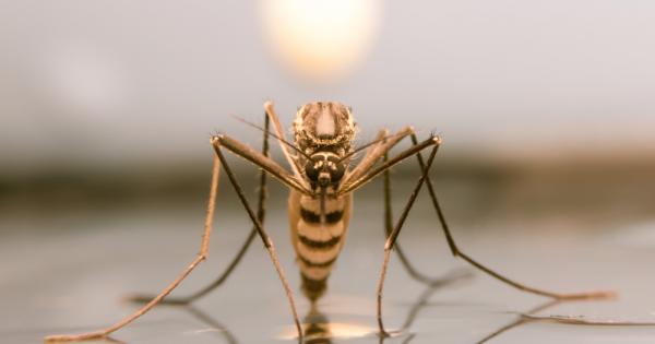 Всеки мрази комари Освен досадното жужене и хапене болестите предавани