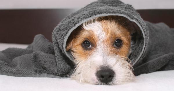 Най вероятно поне веднъж сте изпускали нервите си и сте крещели