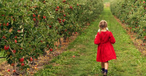 Мъничко момиченце държало две ябълки в ръцете си Майката отишла