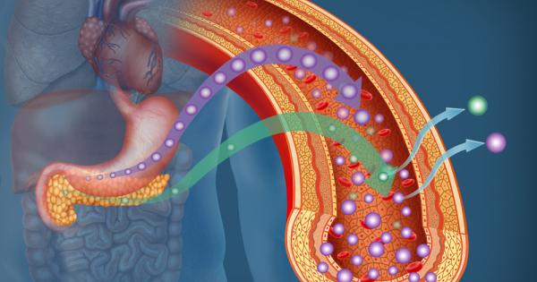 Изследване проведено от Държавния университет в Орегон обяснява как се