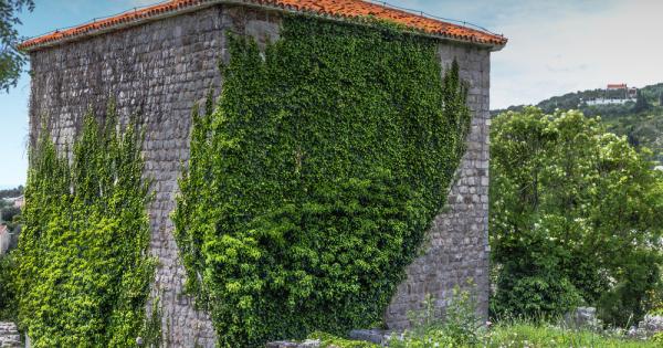 Инвазивен е този вид който въведен случайно или умишлено в