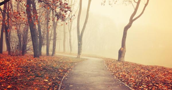 Септември 2021 г в повечето региони на Земята е по топъл