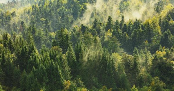 Статията е третата от поредицата която засяга няколко природни местообитания