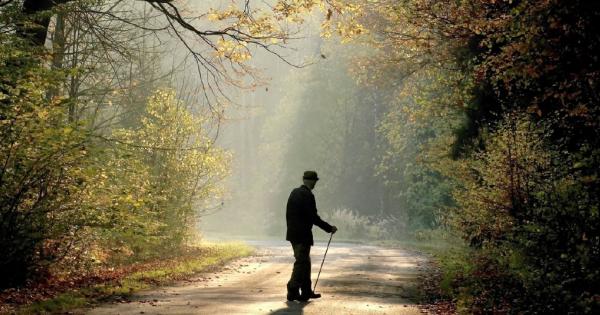 Вървял един мъдрец към дома си и бил изпреварен от