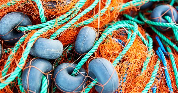 Незаконните риболовни практики в световен мащаб подкопават продоволствената сигурност, сочи