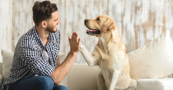 Кучетата обогатяват живота ни – те ни правят по добри хора
