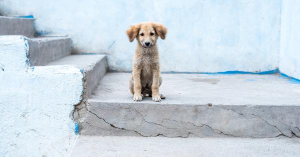 Изследване на специалисти от Принстънския университет и института Дюк в