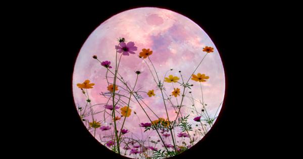 Днес ще имаме удоволствието да наблюдаваме последната Суперлуна за 2020 а Майската