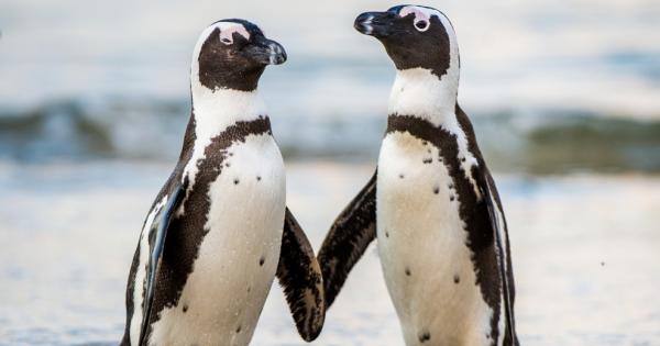 Оказва се че разговорът не е характерен единствено за хората