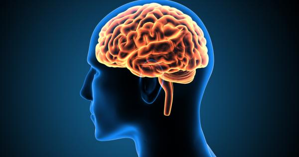 Суперкомпютърът в човешкия череп едновременно обработва факти и лица съхранява