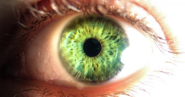 Зелените очи са магнетични и впечатляващи очи Никога не остават