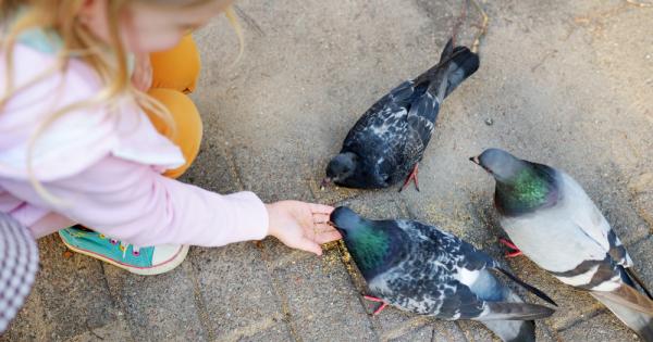 Остатъците от кифлата няколко солетки парченца хляб – всяко дете