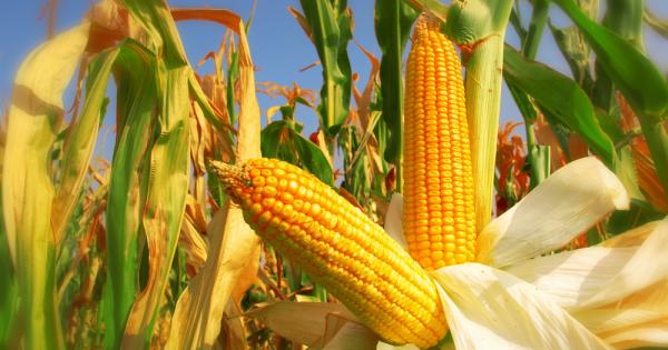 Съвместен екип от китайски и американски учени е идентифицирал нов