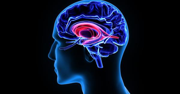 Мъжете могат да потиснат чувството на глад за да се концентрират