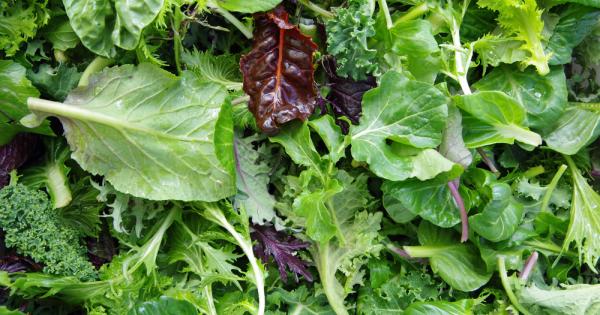 Учени от Чикаго установиха, че порция зелени листни зеленчуци дневно
