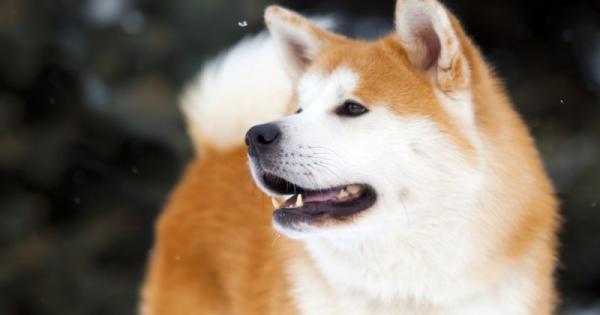 Писателят Мишел Лукаду предлага нестандартен поглед върху това как възприятието