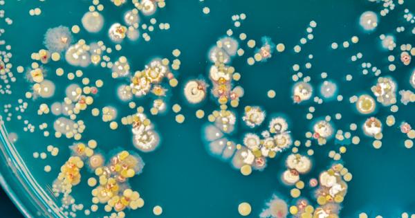 Бактериалните колонии по-скоро биха извършили еволюционно самоубийство“, отколкото да се