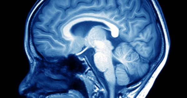 Човешкият мозък реагира на различни дразнители по един наистина уникален
