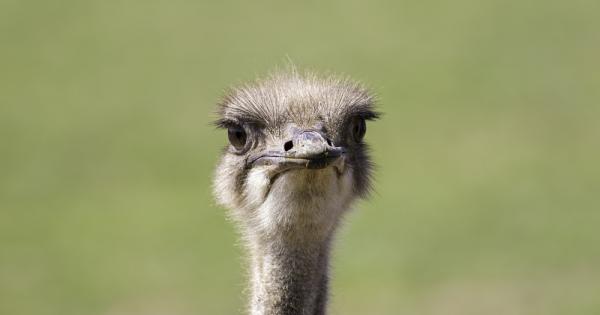 Невежите хора са толкова невежи че често не осъзнават собственото