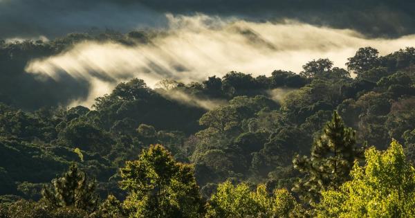 Сечта пожарите и селското стопанство водят до все по бързото изчезване
