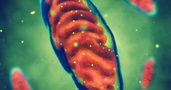 Теоретичният и леко противоречив метод за ин витро оплождане на яйцеклетка
