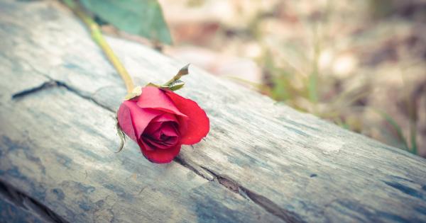 Понякога губим мъжете си не защото някой ни ги отнема Никой