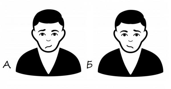 Нашият мозък е разделен на две полукълба ляво и